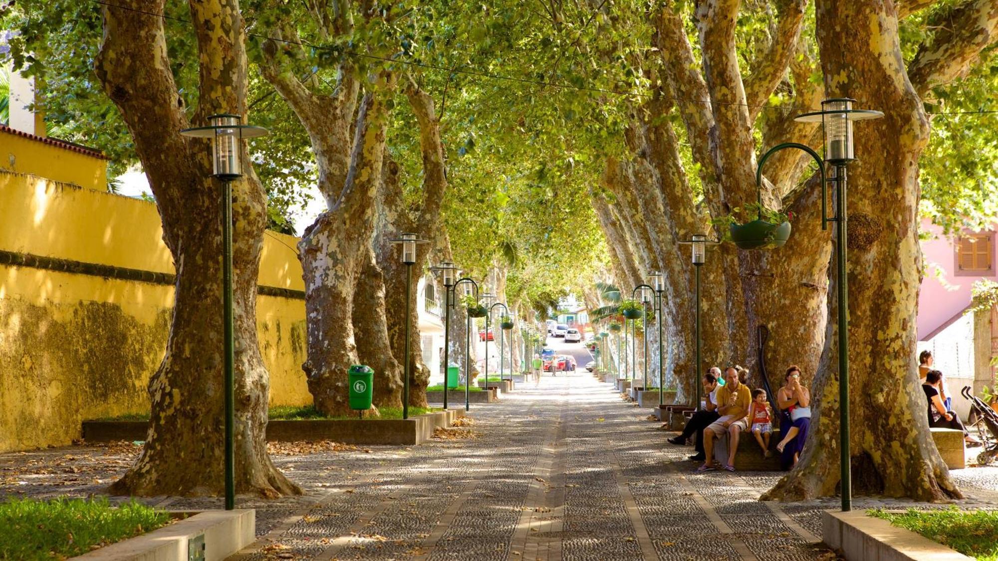 Machico Heart Suites מראה חיצוני תמונה